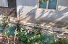 Vand casa ( teren 2.000 mp) in sat Pietrele, jud. Giurgiu - 5