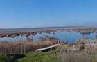 Vand teren intravilan 4000MP cu dechidere la Delta Neajlovu - 8