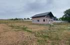 Case de vanzare Parcul natural Comana Giurgiu - 3