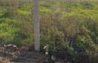 Vand teren Drobeta Turnu Severin - 6