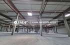 Spațiu industrial, de 7,000 mp, în Sud - 3