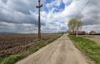 Teren intravilan de 45770 mp, în Stupini - 1