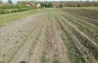 Ag BRASADAS vinde casa LOCUIBILA 3 cam teren 5.000 mp HOREA. - 1