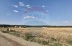 Teren intravilan 3,261mp Balotesti / Strada Rozelor - 3