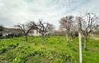 Casa P+1 cu teren 2.470 mp, livada, anexe ?i gospodarie completa Mir?e?ti, Sapata, Arge? - 3