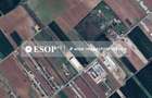 Teren Construcții intravilan de 18000 mp, în Măgurele - 6