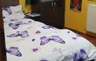 Apartament cu 2 camere decomandat în Giurgiului - 3