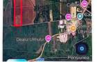 Teren 10.000 mp in Horezu Zona Bela | 25 m deschidere la drum | Investi?ie excelenta - 1