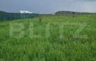 Teren Construcții intravilan de 800 mp, în Bod - 6 Teren Construcții intravilan de 800 mp, în Bod - 6