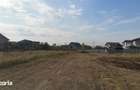 Paulesti, teren 8000mp, desch. 42ml, intre case, utilitati, 350000e - 2