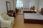 Apartament cu 2 camere semidecomandat în Iosefin - 5