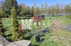Teren Intravilan | 1150 mp | Saliste - 8