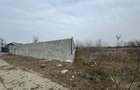Teren în Chitila - 3