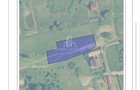 Teren 600 Mp cu Utilitati De Vanzare, Str Pasunii, Corunca - 2