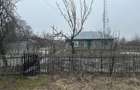 Casă cu Teren 2400 Mp în Toporu - 6