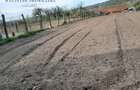 Casa 5 Camere, Teren 1600mp Zorlentu Mare - 2