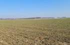 Proprietar vand teren in com. 1 Decembrie - 8