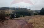 Teren de vanzare in inima Apusenilor 6.500 mp Arie?eni - 16