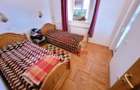 Casa in Cornu de Sus --250.000e - 11