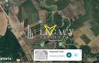 Teren pentru investi?ie, intravilan + extravilan, Mogo?e?ti-Siret - 4