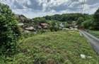 Teren Construcții intravilan de 935 mp, în Valea Târsei - 2