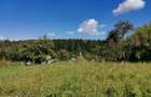 Vand teren intravilan 7410 mp in Sasca Mare, Suceava - 1