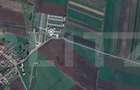 Teren extravilan de vanzare, 5000 mp, zona Bod - 1