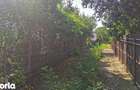 Casa P+1, curte 800 mp in Corbeanca, la sosea - 16