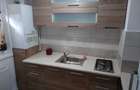 Inchiriere apartament cu o camera Take Ionescu - 1