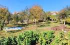 Casă individuală cu 6 camere cu Canalizare în Central - 5 Casă individuală cu 6 camere cu Canalizare în Central - 5