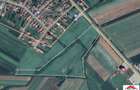 Teren extravilan 3,56 hectare in Dorolt ( ID 22873) - 1
