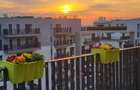 Apartament cu 3 camere decomandat în Domenii - 4
