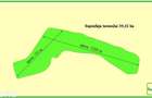 Teren forestier compact, 39,42 ha, Cheia Maneciu, ECX30374 - 1