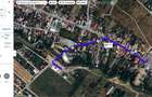 Vanzare teren Domnesti negociabil - 4