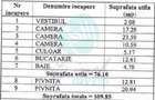 Apartament cu confort de casa | Renovare 2026 | Foisorul de Foc - 7