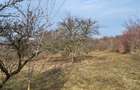 Teren Intravilan 43Ari zona Ortelec-Zalau intre case 4800eur/ar - 3