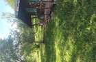 Vand teren intravilan Oradea - 2