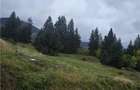 TEREN DE VANZARE COLIBITA _4600 EUR AR - 2