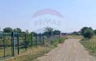 Teren Construcții intravilan de 650 mp, în Ghermănești - 6
