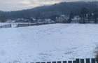 Teren Frasin 6000 m2 - 4