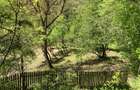 DOMENIU EXCLUSIVIST Băile Govora: 2500 mp cu Helesteu, Pârâu, Pădure, Utilități - 3