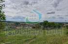 Teren intravilan 2510 mp, Livezilor, Somcuta Mare, zona cu potential de dezvoltare turistic - 4