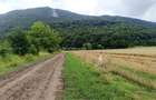 Bra?ov Bartolomeu- Cucului,Intravilan 16.500mp,dezvoltare rezidentiala - 10