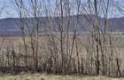 Teren Construcții de 18000 mp, în Urleta - 11