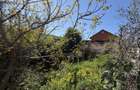 Teren + casa veche de vanzare in Toplet zona linistita, aproape de natura - 4