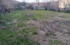 Teren si casa Comuna Cascioarele Judetul Calarasi - 5