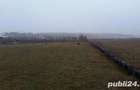 Ferma Calugareni 11860 mp 100 000 Euro - 1