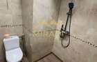 Inchirieri Apartamente 3 Camere DACIA-POLONA - 9