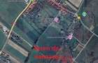 Teren Tohanu Nou, intrare Sohodol, 4800mp - 2