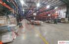 Spațiu industrial, de 19,000 mp, în Sud-Est - 6